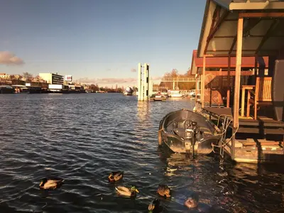 a group of ducks swimming in the water next to a boat at Houseboat Benjamin - Houseboats Benjamin & Franklin in Prague