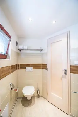 a bathroom with a toilet and a shower at Houseboat Benjamin - Houseboats Benjamin & Franklin in Prague