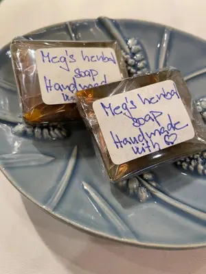 a plate with two pieces of food with handwritten notes at Dream blue in city centreWenceslas Sq in walk in Prague