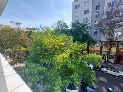 a tree with yellow flowers on a city street at Luxury & air-conditioned Osko Apartment near the city center in Prague