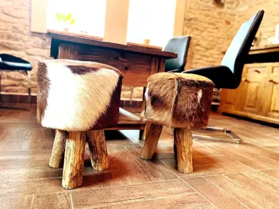 two chairs made out of logs sitting in a room at Historická chalupa Lhotky 1844 - soukromí a klid u Sázavy in Malotice