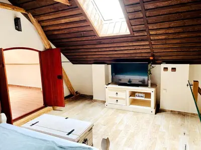 a bedroom with a bed and a tv in a room at Historická chalupa Lhotky 1844 - soukromí a klid u Sázavy in Malotice