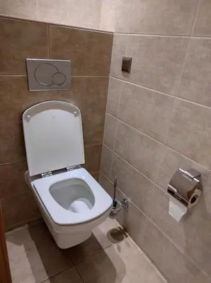 a bathroom with a toilet and a roll of toilet paper at Very comfortable flat for the whole family in Prague