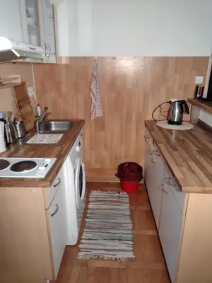 a kitchen with a sink and a washing machine at Comfy home in Vinohrady in Prague