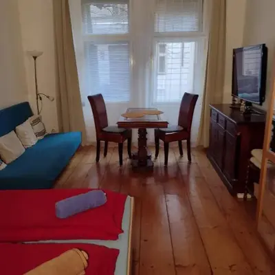 Comfy home in Vinohrady