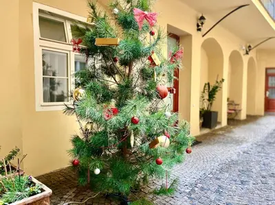 a christmas tree on the side of a building at Old Town Prague Apartment in Prague