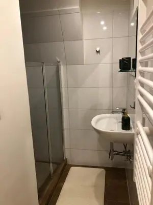 a bathroom with a sink and a shower at Apartmány na Náměstí in Český Brod