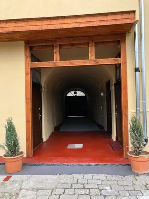 an entrance to a building with two potted plants at Apartmány na Náměstí in Český Brod