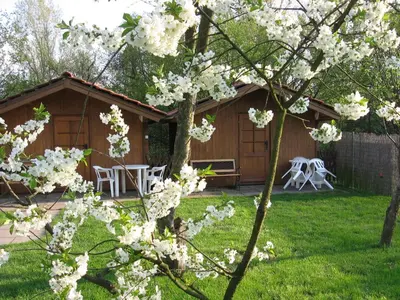 a cabin with a table and chairs in the yard at Pension Trojská in Prague