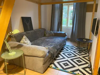 a living room with a leather couch and a rug at Cozy Garden Apartment in the heart of Prague in Prague