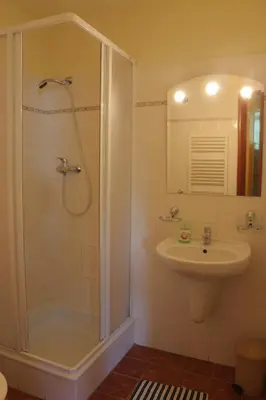 a bathroom with a shower and a sink at Penzion Flídr in Poděbrady