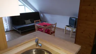 a kitchen and living room with a sink and a couch at Pension Egida in Řež