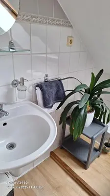 a bathroom with a large tub and a potted plant at Pension Egida in Řež