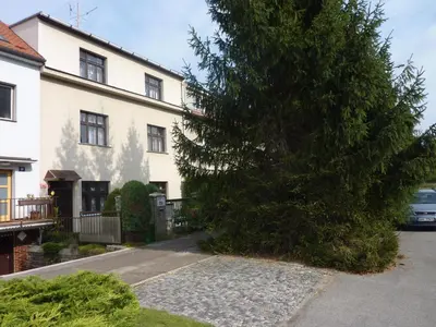 a large tree in front of a house at Pension 21 in Prague