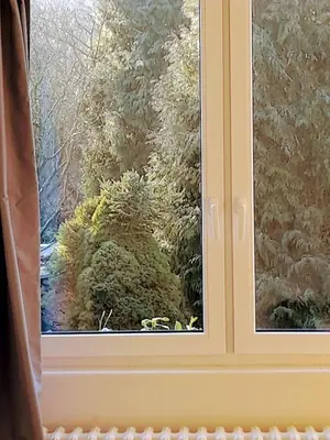 a window with a view of a bush at LEV I SOVA in Mělník