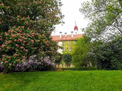 a park with a bench in front of a house at LEV I SOVA in Mělník
