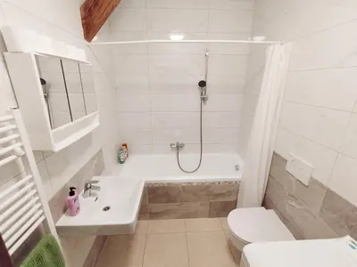 a bathroom with a shower and a toilet and a sink at Cozy rooftop with balcony in Prague