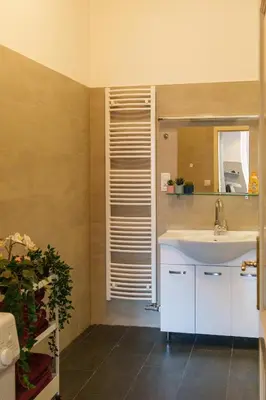 a bathroom with a sink and a mirror at Naru house 6 in Prague