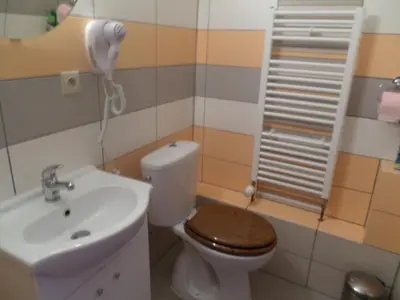 a bathroom with a toilet and a sink at Penzion v Budech in Křivoklát
