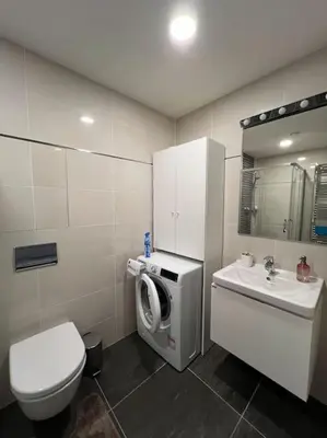 a bathroom with a toilet sink and a washing machine at Comfort flat with great location in Prague