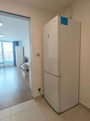 a large white refrigerator in a room with a door at Comfort flat with great location in Prague
