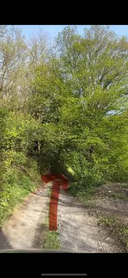 a tree over a dirt road with a red line at Chata Markétka in Křivoklát
