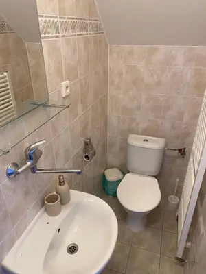 a bathroom with a white sink and a toilet at Penzion BeSeDa in Bratronice