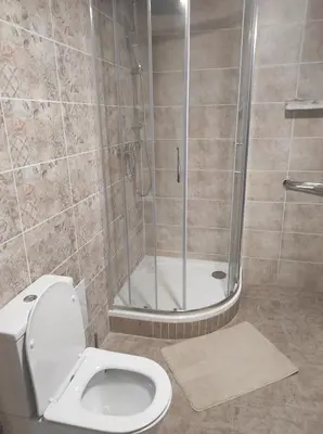 a bathroom with a shower and a toilet at Klid in Budyně nad Ohří