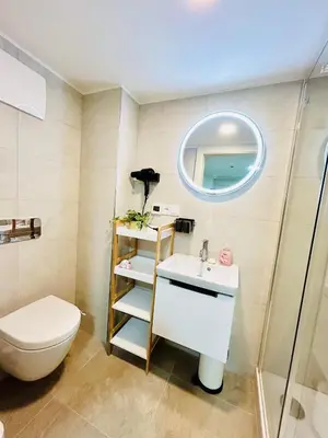 a bathroom with a toilet and a sink and a mirror at Cozy Design Homestay with terrace in Prague