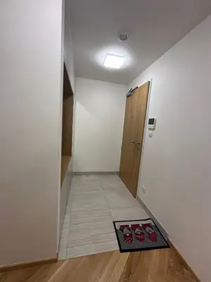 a hallway with a room with a door and a rug at Smichov city Apartments in Prague