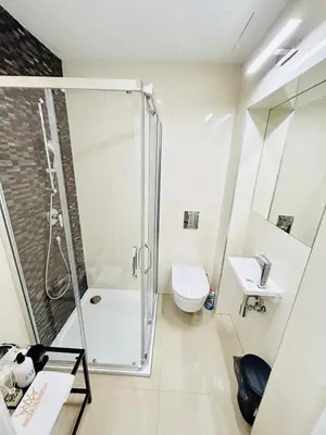 a bathroom with a shower and a toilet at Cozy Design Homestay right next to Wenceslas Square in Prague