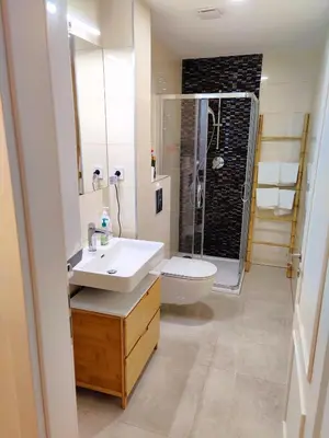 a bathroom with a sink and a toilet and a shower at Central Studio with Private Courtyard in Prague