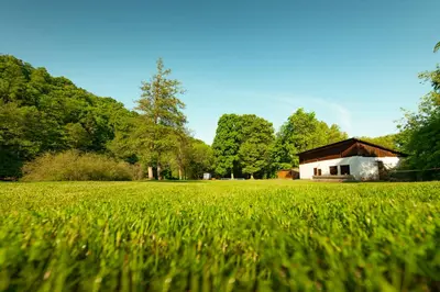 a field of green grass with a barn in the background at Ubytování Ostende - penzion in Chocerady