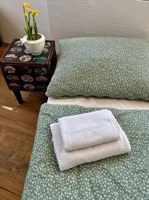 two green beds with a towel on a table at Ubytování Ostende - penzion in Chocerady