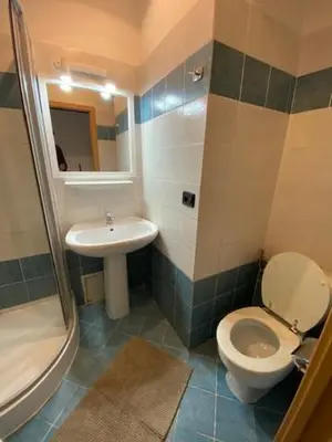 a bathroom with a toilet and a sink at Vitkova apartment with balcony in Prague