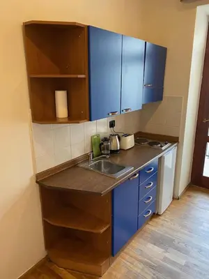 a small kitchen with blue cabinets and a sink at 1 Bed Flat - Sleeps 2 - Pets - Smoking on terrace in Prague