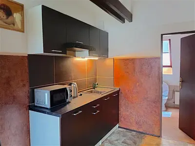 a kitchen with a microwave and a sink in it at Green Club in Tursko