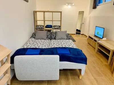 a bedroom with a large bed and a television at Pleasant Basement Apartment in Prague