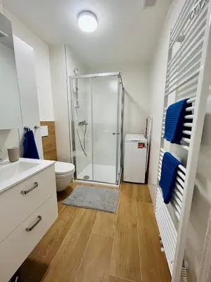 a bathroom with a shower and a toilet at Pleasant Basement Apartment in Prague