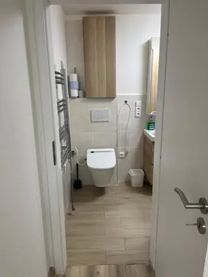 a bathroom with a toilet and a shower in it at Relax pobyt na břehu Sázavy a na dosah Prahy in Čerčany