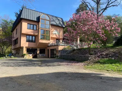 a large house with a flowering tree in front of it at Penzion Janata in Slapy