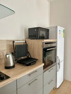 a kitchen with a refrigerator and a laptop on a counter at Apartmán v srdci Poděbrad 100m2 in Poděbrady