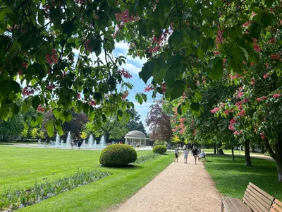 people walking down a path in a park with pink flowers at Apartmán v srdci Poděbrad 100m2 in Poděbrady