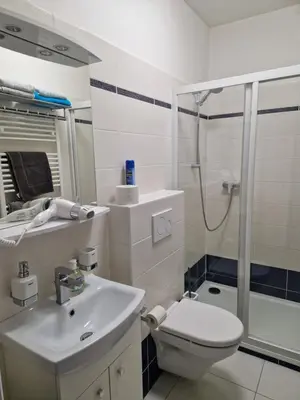 a bathroom with a toilet sink and a shower at Ubytování Pod věží Hoštka u Roudnice nad Labem in Litoměřice