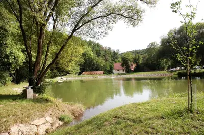 a body of water with a tree and a river at Apartmán Ve Mlýně in Třebotov