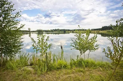 a view of a large lake with clouds in the sky at RESORT SALIXA u Poděbrad in Poděbrady