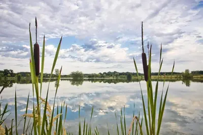 a view of a lake with clouds in the sky at RESORT SALIXA u Poděbrad in Poděbrady