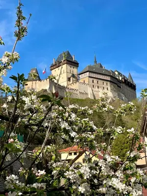 a castle on top of a hill with flowers at Karlštejn 34 in Karlštejn