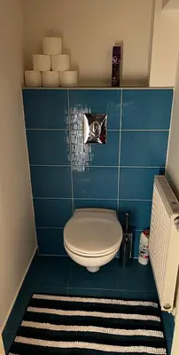 a bathroom with a toilet in a blue wall at MM Apartment Argentinska in Prague