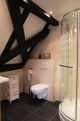 a bathroom with a toilet and a shower at Old Town Boutique Apartments in Prague
